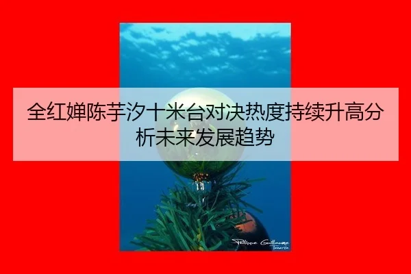 全红婵陈芋汐十米台对决热度持续升高分析未来发展趋势